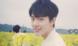 王源娱乐圈吃瓜爆料事件,揭秘吃瓜背后的真相与影响